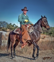 Chay Maldonado Horse