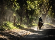 Arizpe, Horse Rider Alameda