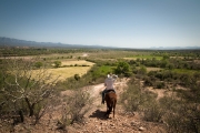 Rio Sonora Valley Ochoa