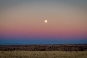 Moonrise Canelo