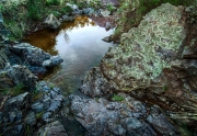 Conglomerate Rocks with lichen