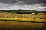 French Landscape Fields