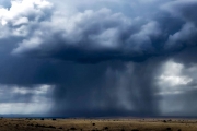 SE AZ Monsoon Arrival