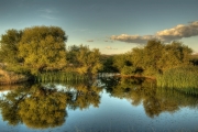 San Bernardino River Ponds