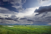 San Rafael Valley