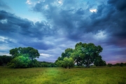 SE AZ Monsoon Greenery