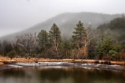 Chiricahua Mountains Snow